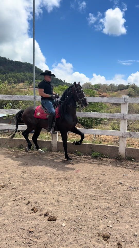 TikTok video thumbnail by rancholabendicionnv
