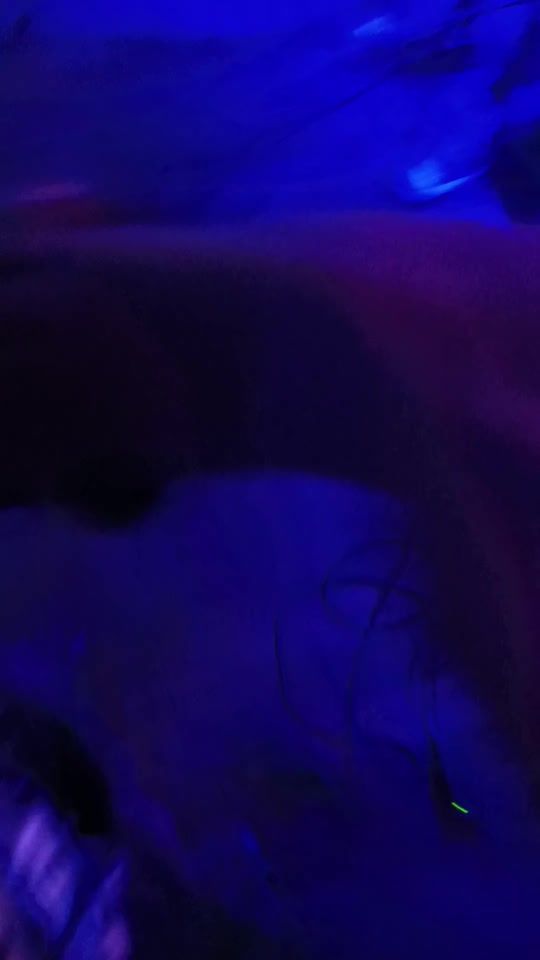 TikTok video thumbnail by sangumadokz3