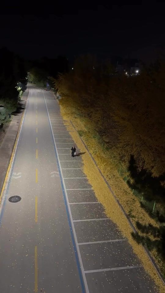 TikTok video thumbnail by sudip_buzz1