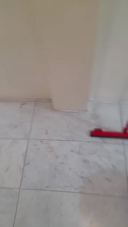 TikTok video thumbnail by user606833592