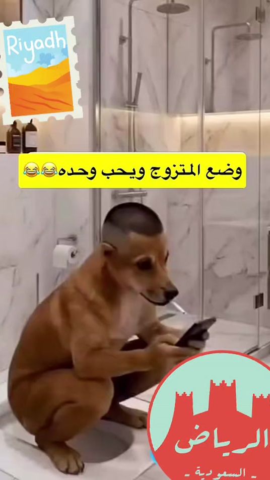 TikTok video thumbnail by abd44k