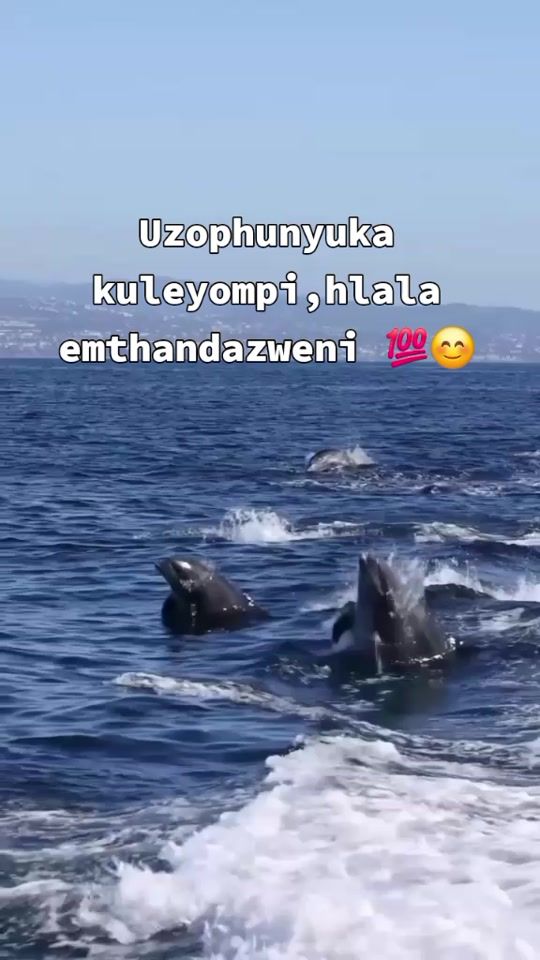 TikTok video thumbnail by pholile.matimba