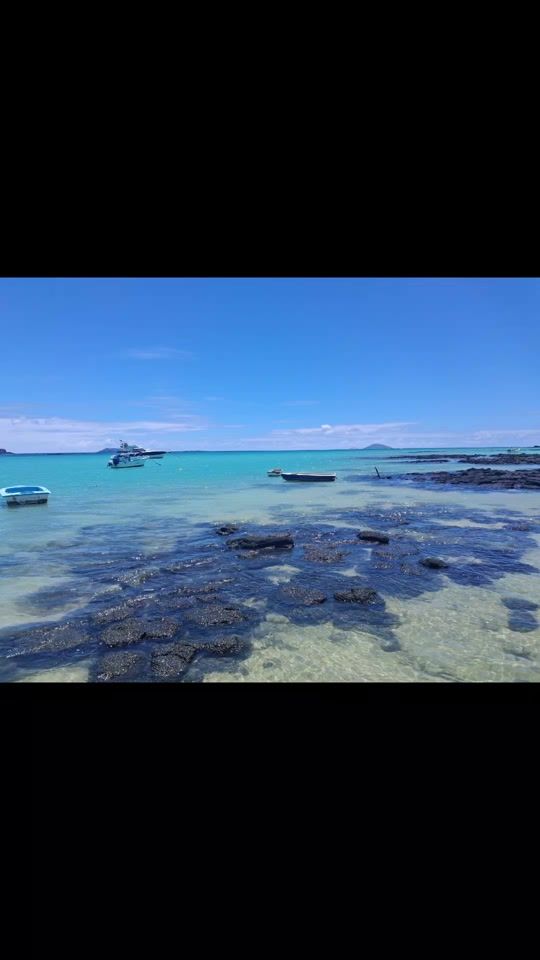 TikTok video thumbnail by selvaanaa11