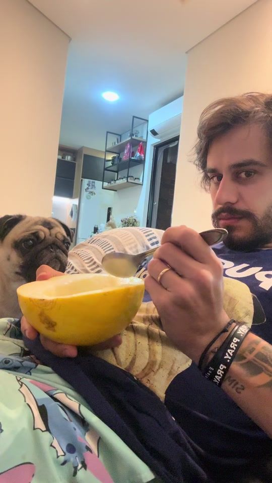 TikTok video thumbnail by dolores_thepug