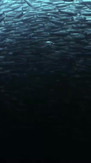 TikTok video thumbnail by forever0rca