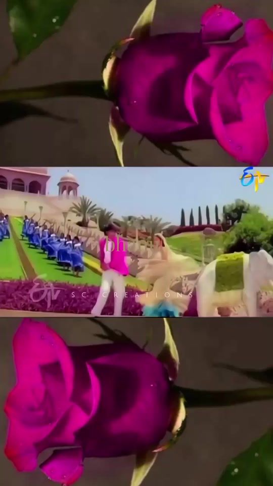 TikTok video thumbnail by user.ammayi