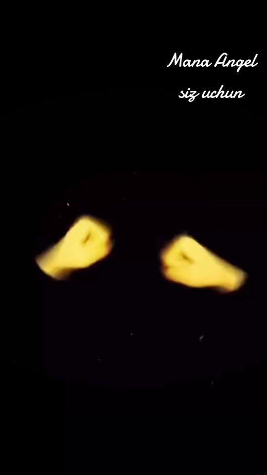 TikTok video thumbnail by user.leyakirsan