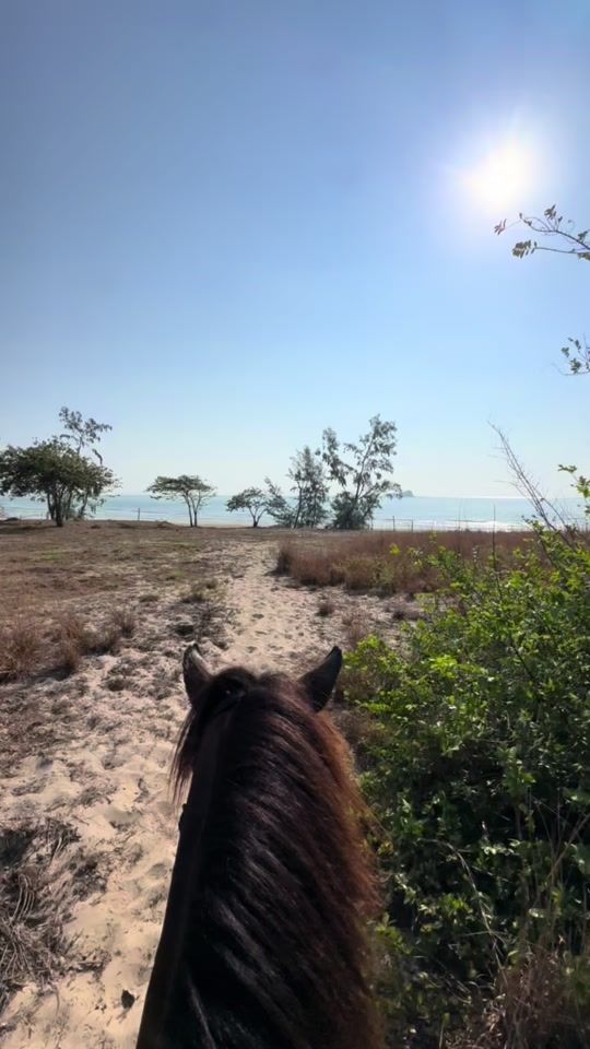 TikTok video thumbnail by k.soups