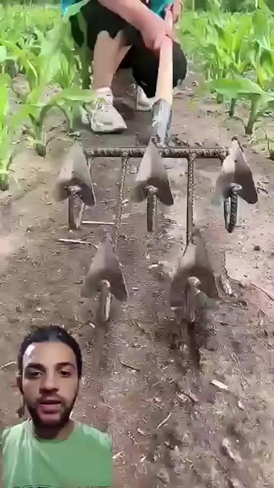 TikTok video thumbnail by smart_gardener20