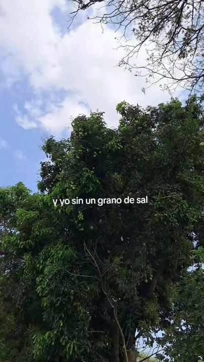 TikTok video thumbnail by nefertat
