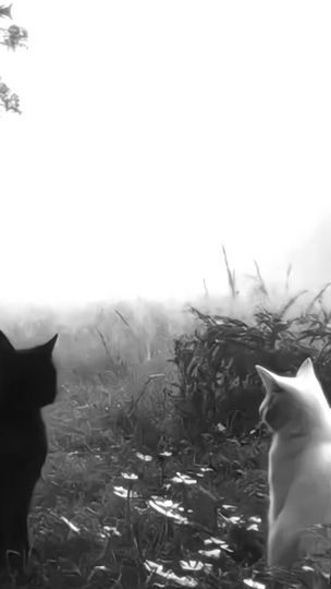TikTok video thumbnail by n_rjds3