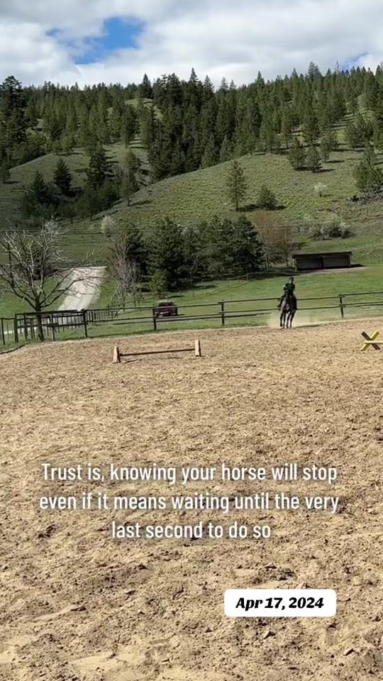 TikTok video thumbnail by rudniktheroan