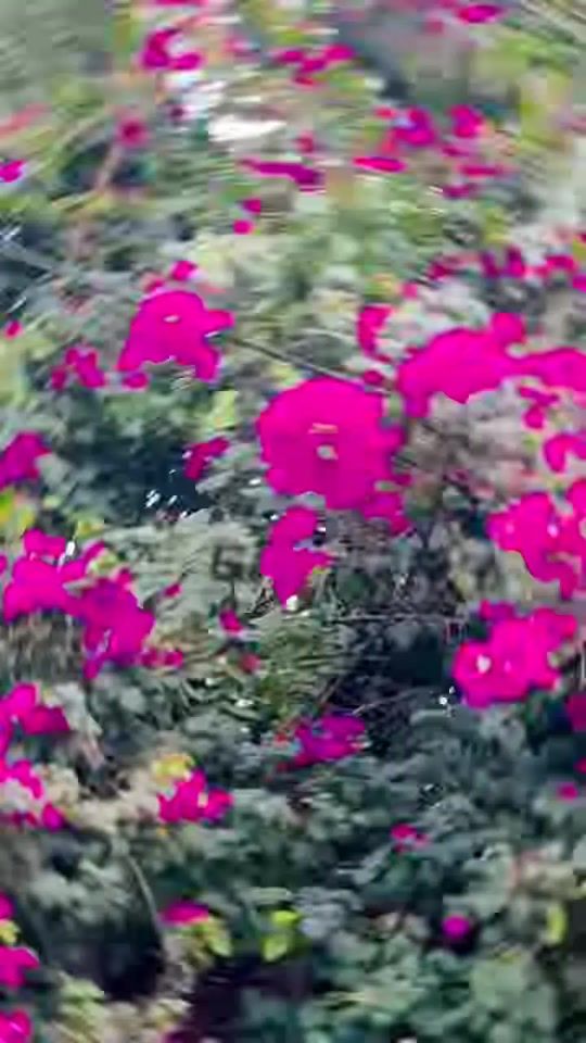 TikTok video thumbnail by s.m.s.134