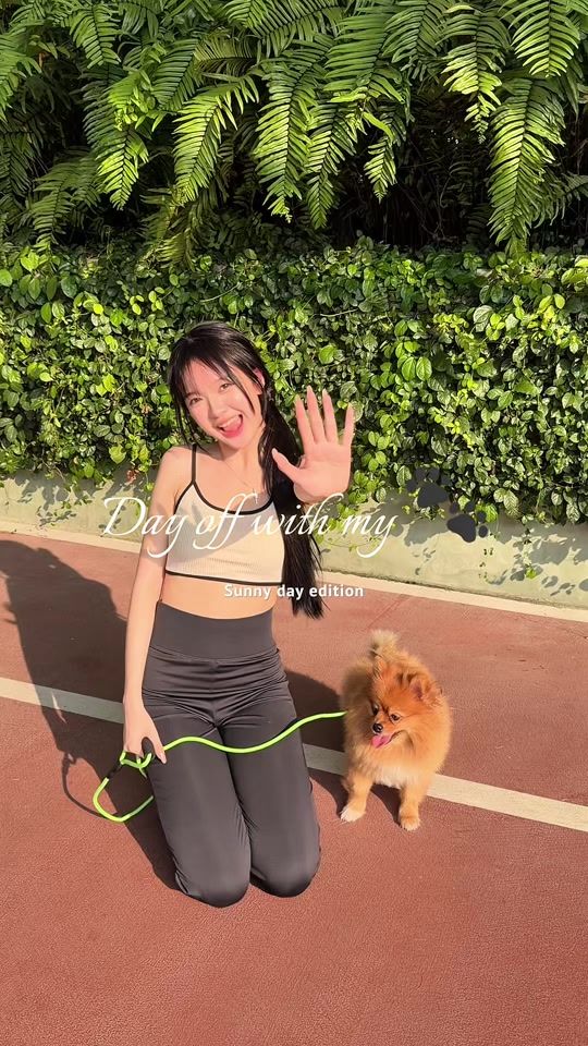 TikTok video thumbnail by dinopatt
