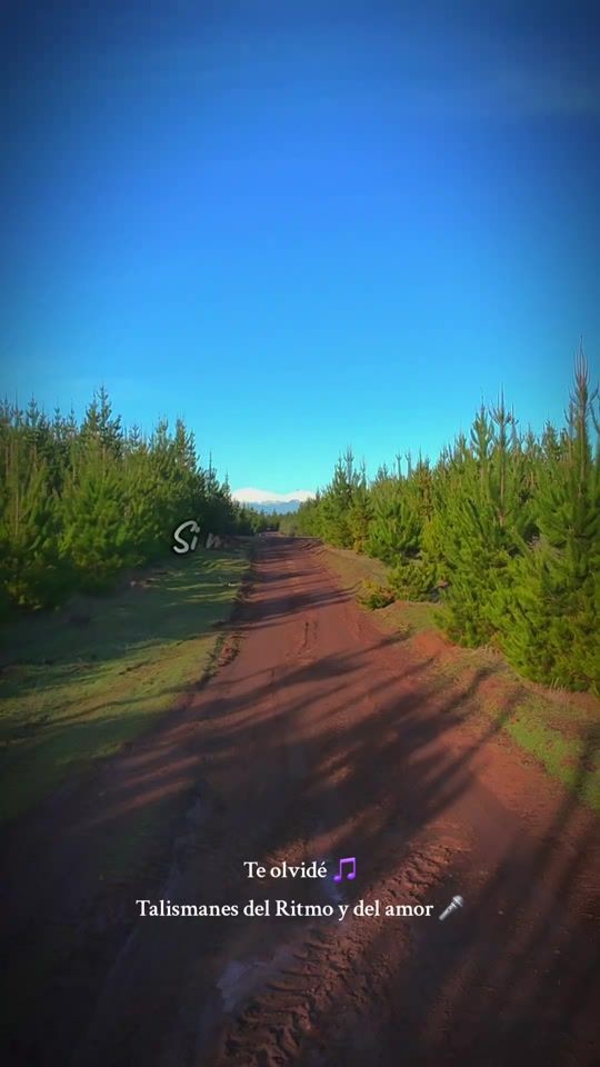 TikTok video thumbnail by luisfelipeperez_