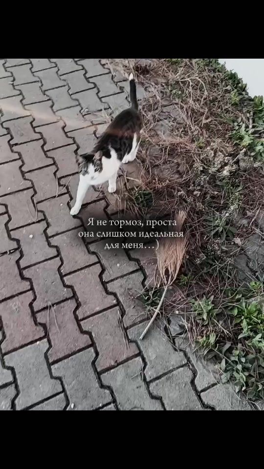 TikTok video thumbnail by zaferboltaev