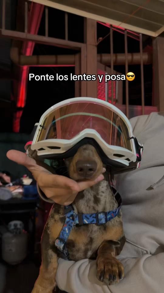TikTok video thumbnail by fajardo342