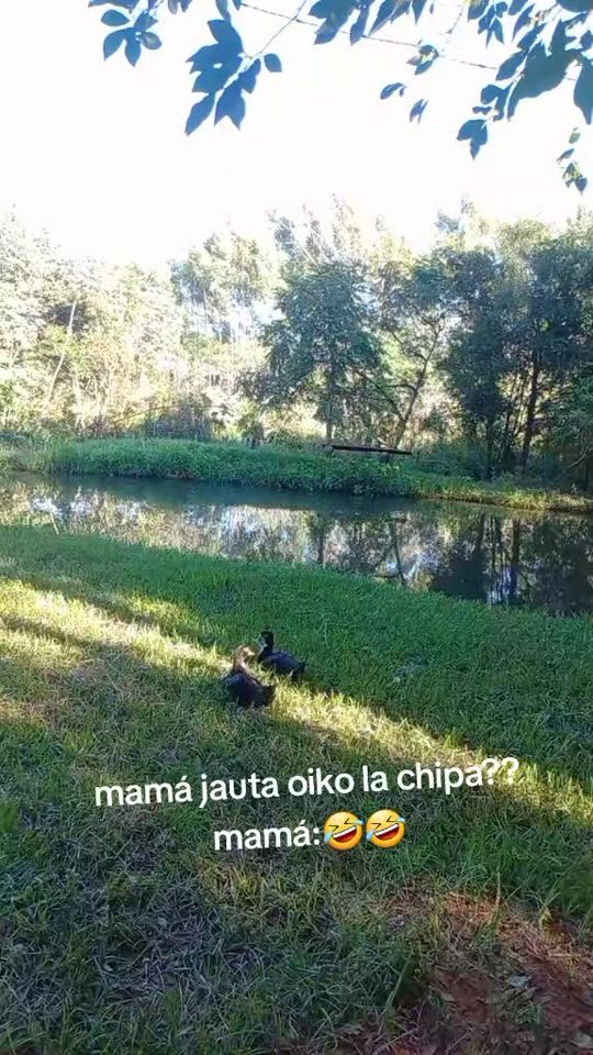 TikTok video thumbnail by belindasanabria