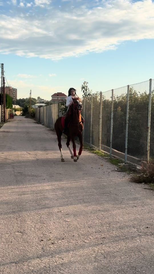 TikTok video thumbnail by noussa.111