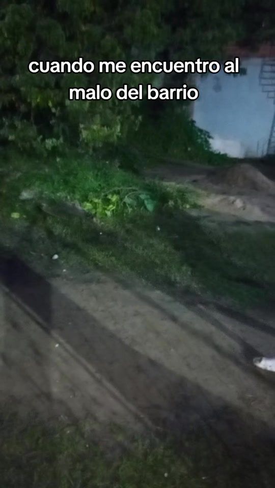 TikTok video thumbnail by losnene30