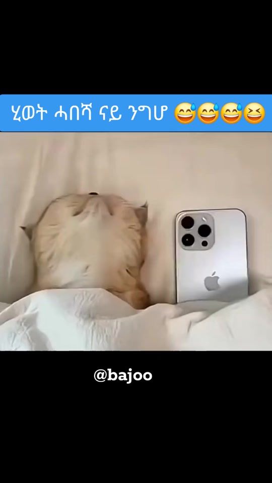 TikTok video thumbnail by bajoo.43