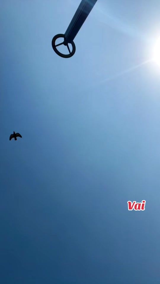 TikTok video thumbnail by bhawanasingh102