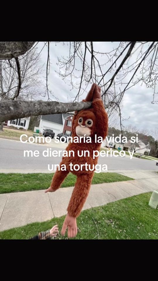 TikTok video thumbnail by ram_lpzz