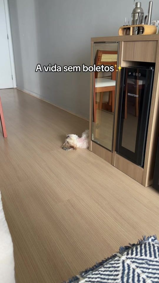 TikTok video thumbnail by saraivagi