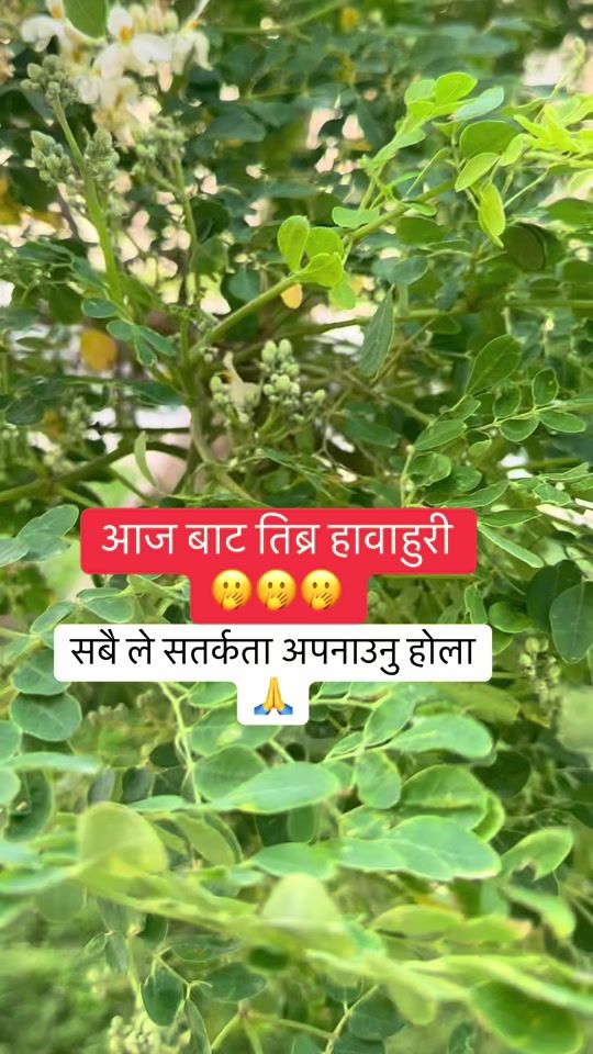 TikTok video thumbnail by maushoof