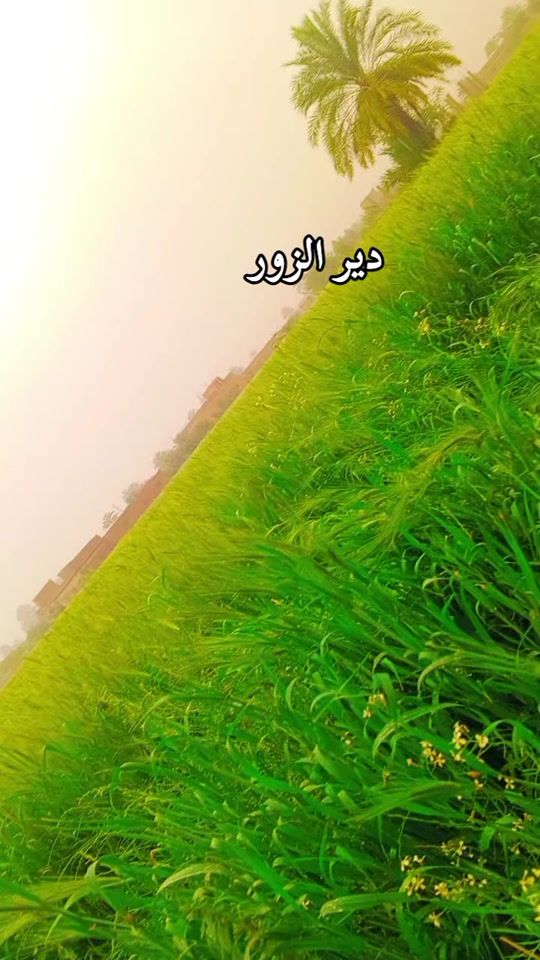 TikTok video thumbnail by roroail45