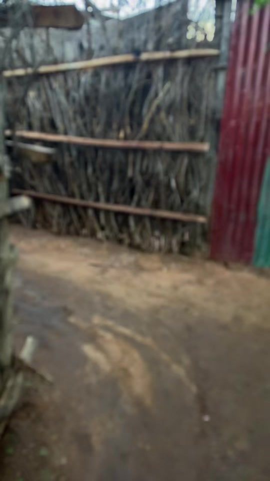 TikTok video thumbnail by mohamedf809