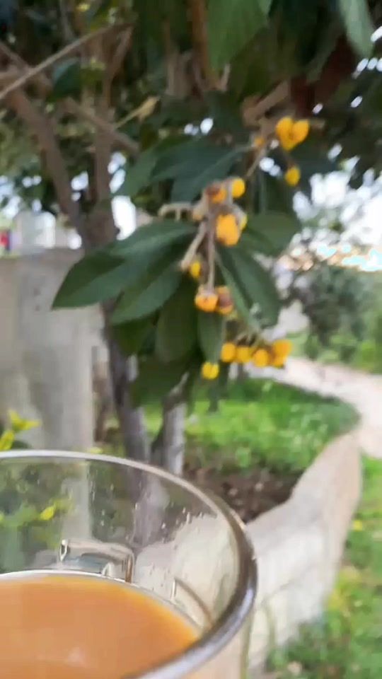 TikTok video thumbnail by al_soltnaa