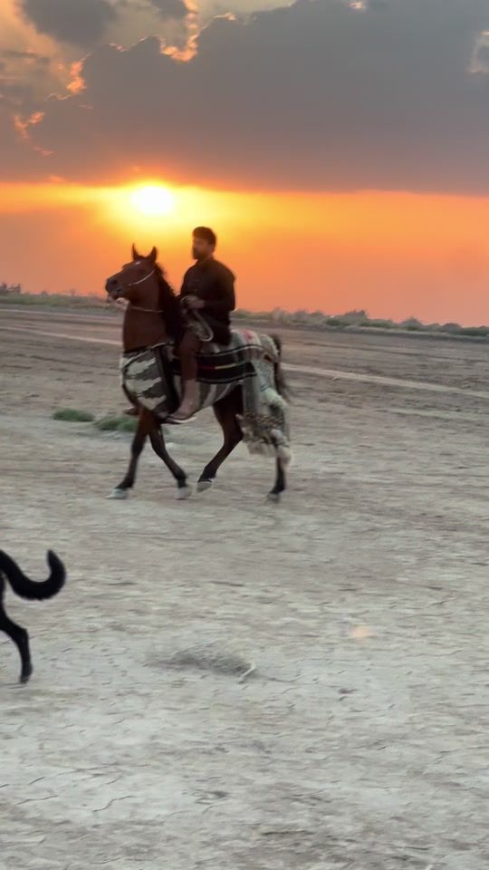 TikTok video thumbnail by fktr97