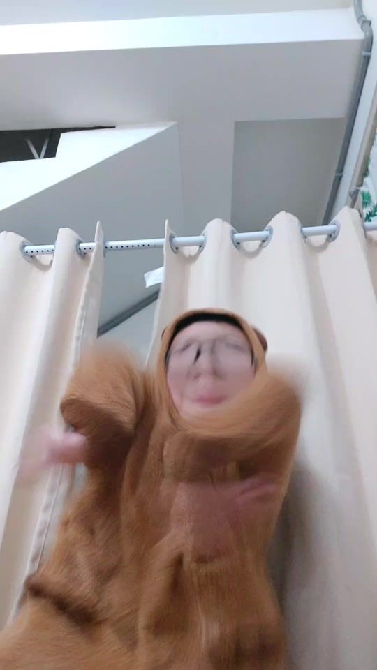 TikTok video thumbnail by 74636yeyeteg