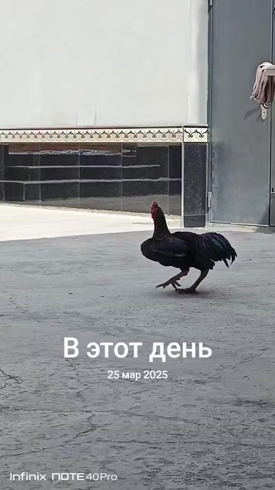 TikTok video thumbnail by sam0237870