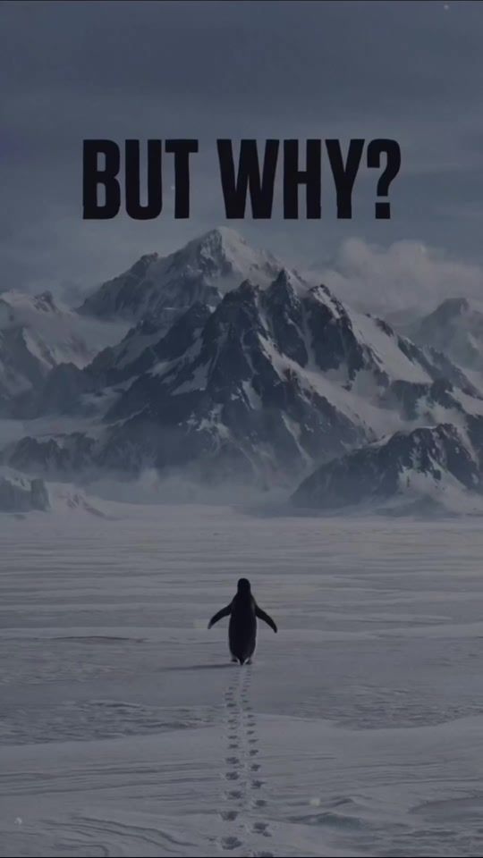 TikTok video thumbnail by dictator767