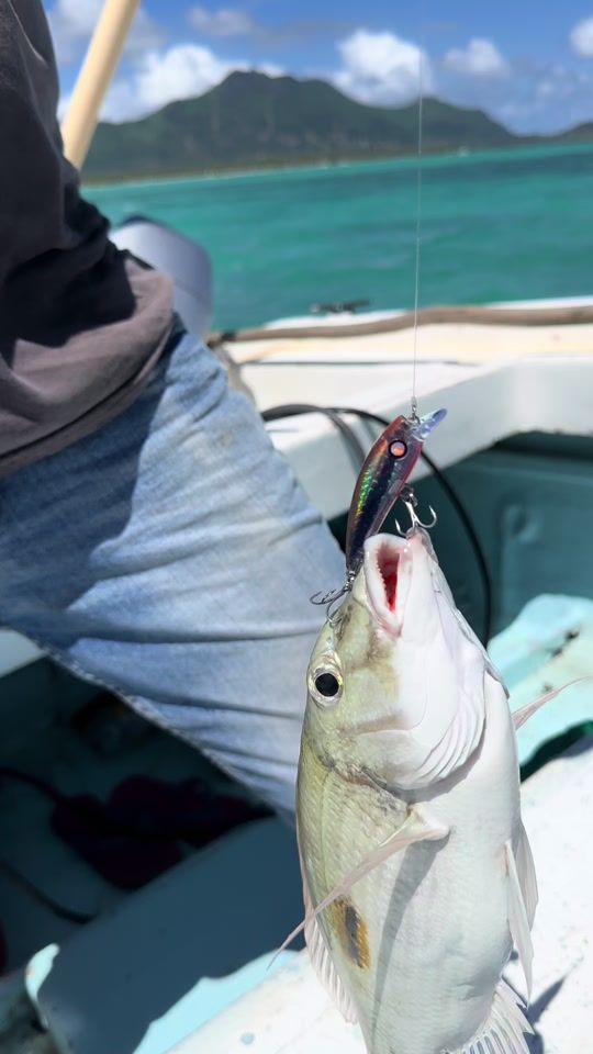 TikTok video thumbnail by fishingwithfazley