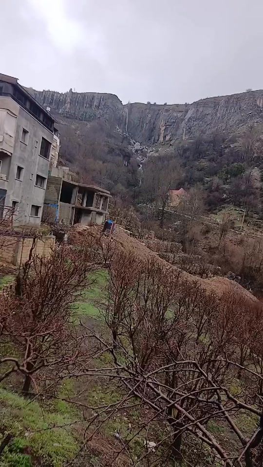 TikTok video thumbnail by dadokh0