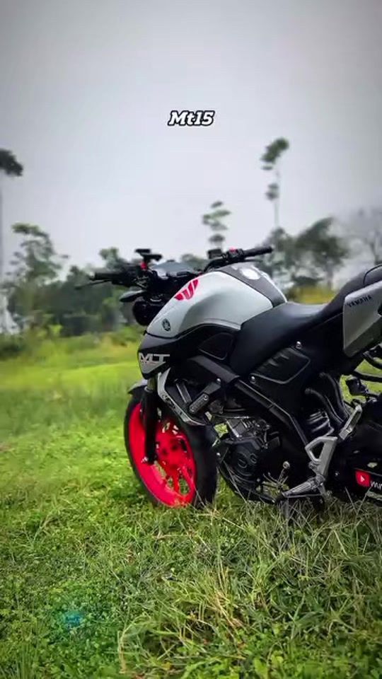 TikTok video thumbnail by mtlover768