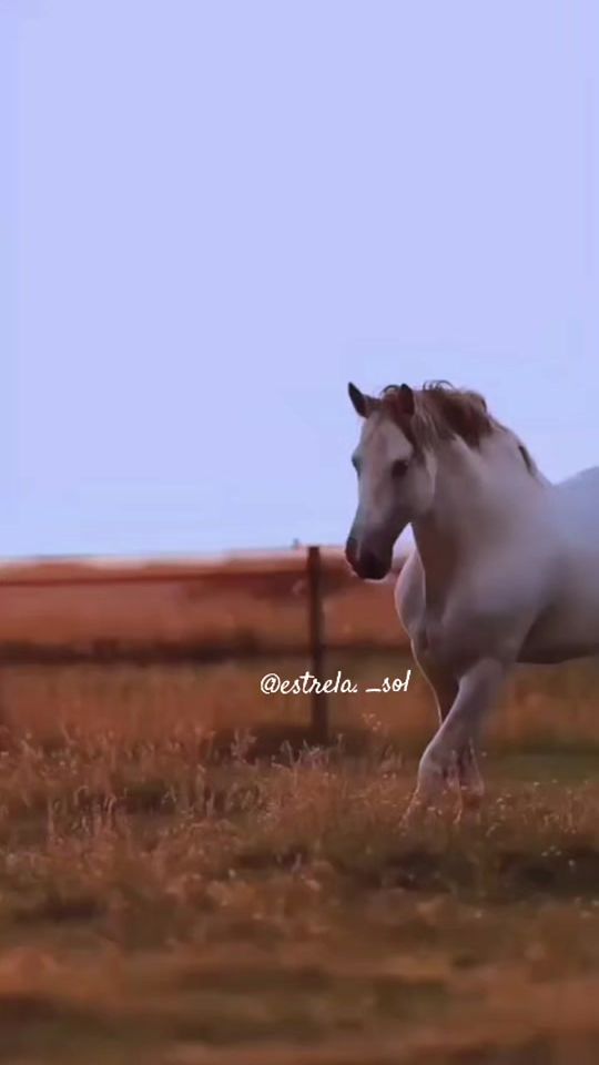 TikTok video thumbnail by estrela._sol