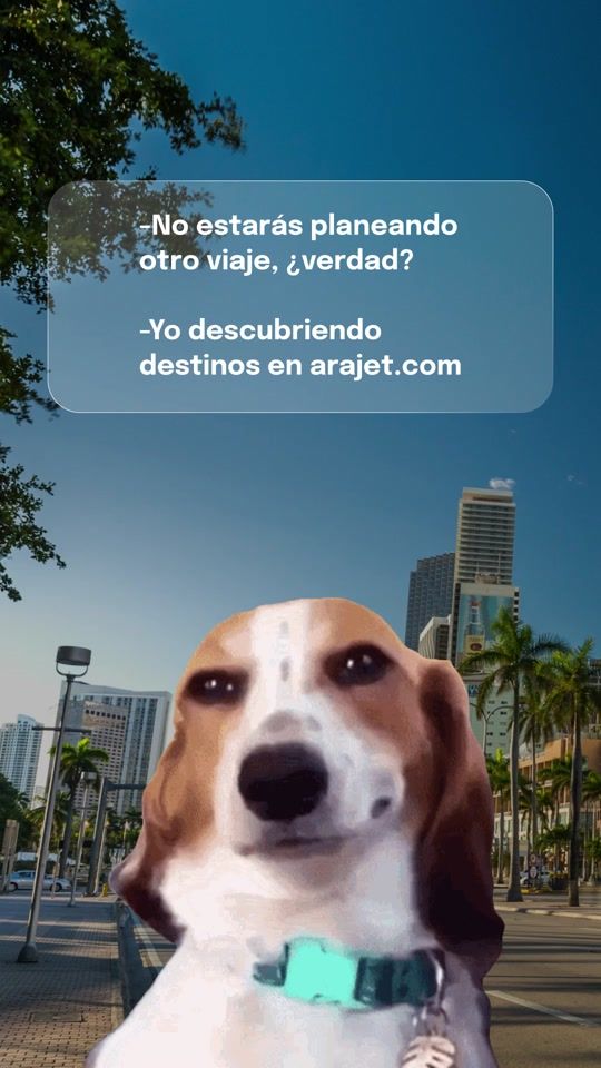 TikTok video thumbnail by arajetairlines