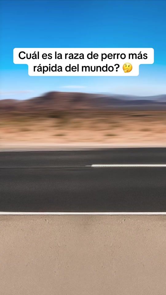 TikTok video thumbnail by homosapienstv