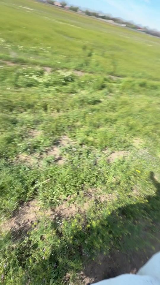 TikTok video thumbnail by milhemfarm