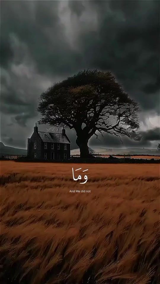 TikTok video thumbnail by abad.djamel