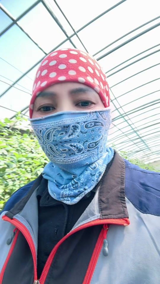 TikTok video thumbnail by meeya780