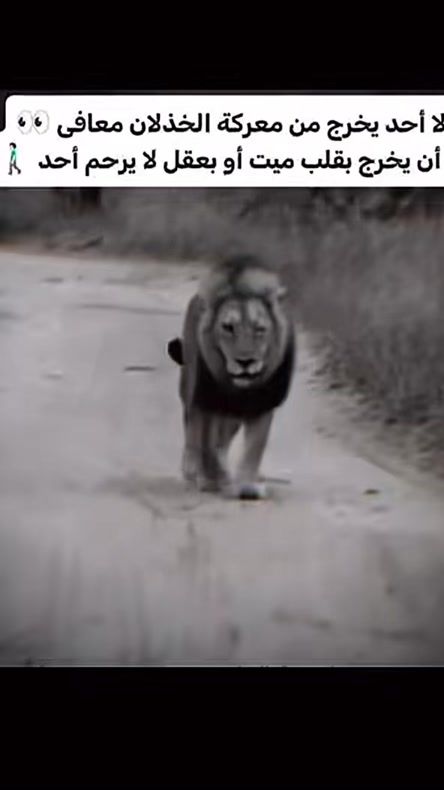 TikTok video thumbnail by 1998zm_zm________