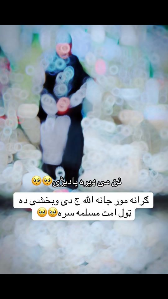 TikTok video thumbnail by ehsanullah.qaland