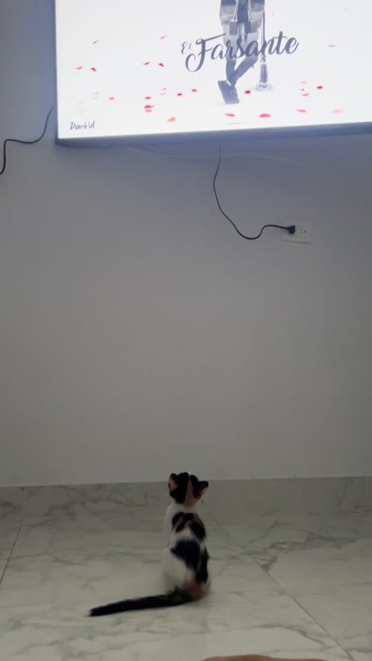 TikTok video thumbnail by lis.kr7