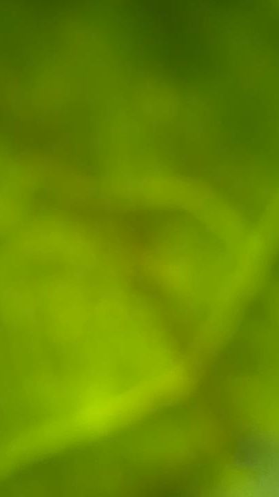 TikTok video thumbnail by user1c.n