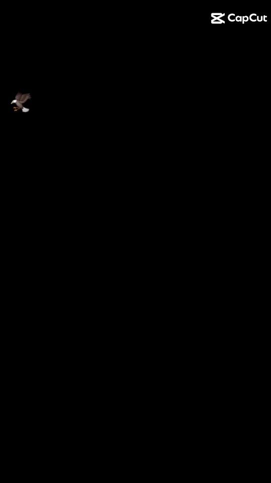 TikTok video thumbnail by fatalpvs